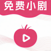 瓜田电影无限制vip版